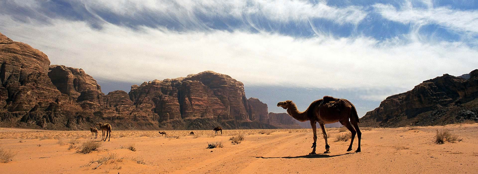 Oman and Jordan – 15 Days – Oct19