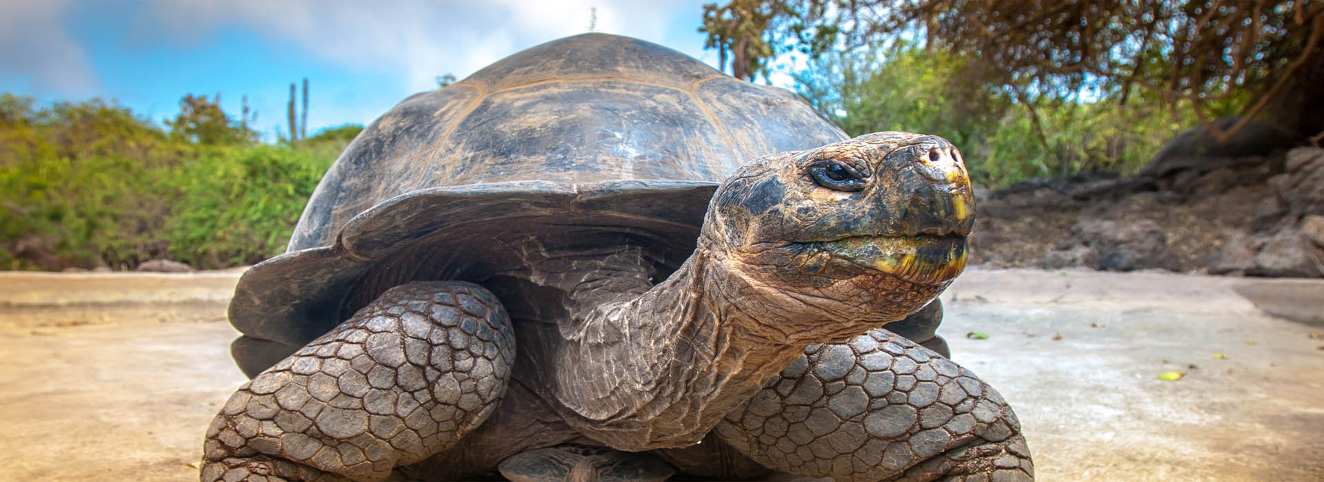 Galapagos Islands – 10 Days – 13Apr23