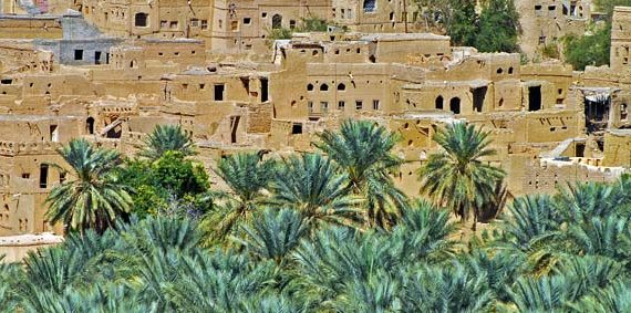 Oasis Al Hamra Oman Tour