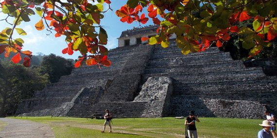 Palenque Mexico Tour